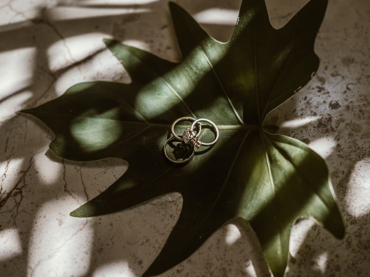 Anillos de boda sobre una hoja, en los jardines de la hacienda